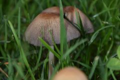 2026_08_19-10_30_43_DSC_0044